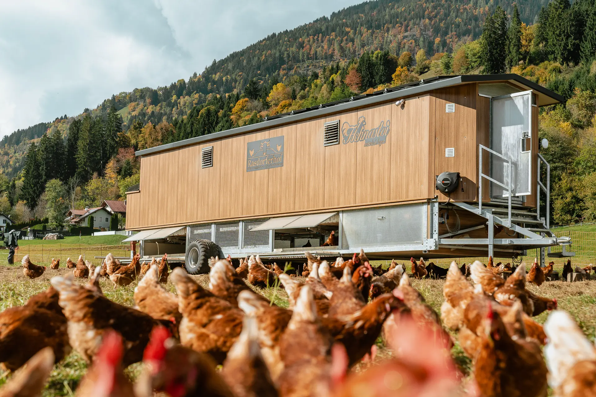 Ein moderner mobiler Hühnerstall aus Holz steht auf einer grünen Wiese am Rasdorferhof in Kärnten umgeben von glücklichen braunen Hühnern vor herbstlichen Wäldern und wenigen Häusern.